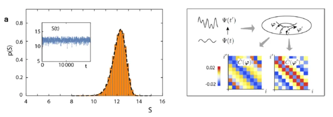 聆听纠缠的声音<br/>